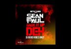 Sean Paul – Back It up Deh