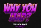 DJ Zan D – Why You Mad ft. Gigi Lamayne Mp3