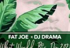 Download Fat Joe DJ Drama & Cool & Dre What Would Big Do 2021 EP ZIP Download