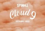 Download DJ Spinall Cloud 9 ft Adekunle Gold MP3 Download