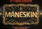 Download Maneskin If I Can Dream MP3 Download